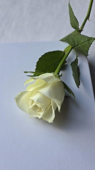 issa clean standard pdf