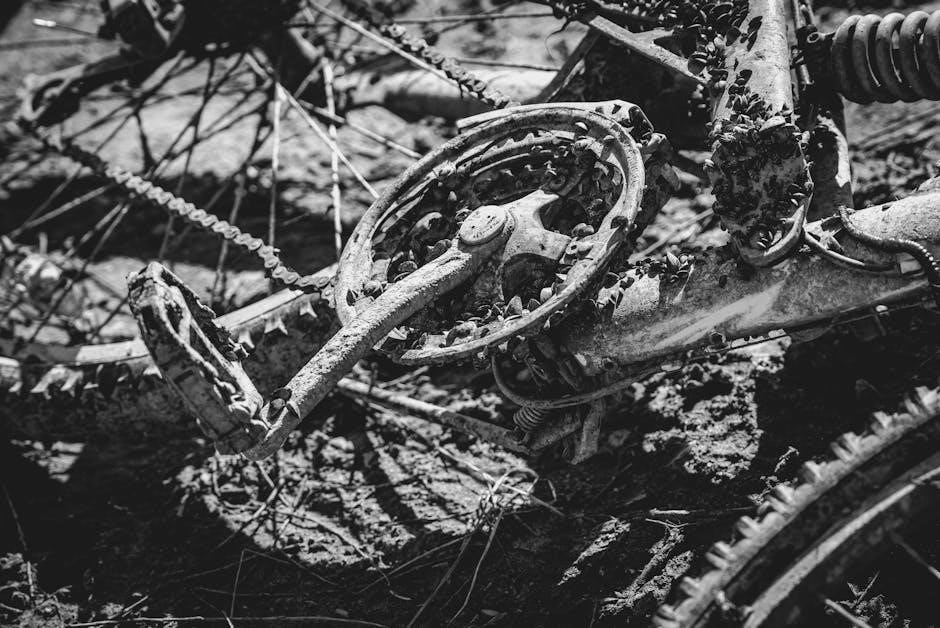 voodoo pedal power 2 plus manual